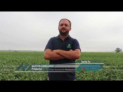 Recorrida de la Red de soja del INTA Oliveros del sur de Santa Fe