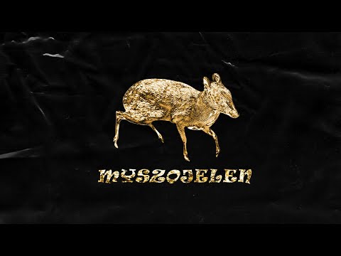 TIM x KOZAKPOLV - MYSZOJELEŃ (official video)