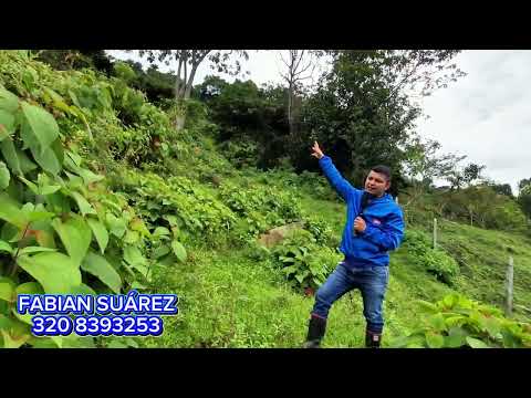 14000 m2 EN SILVANIA CUNDINAMARCA 