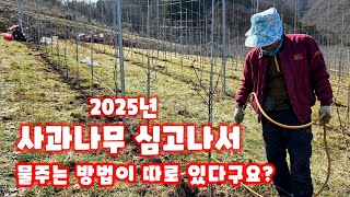 사과나무 심고 물 주는 시기 방법 물주기 핵심 꿀팁 충북 괴산 가을농원 심는방법 [사과재배방법]