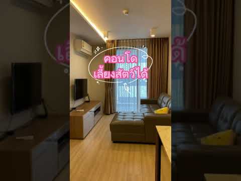 🐶🐰🐱คอนโดเลี้ยงสัตว์ได้ ที่ มาเอสโตร12 ใกล้btsราชเทวี - video