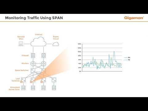 Monitoring Traffic Using SPAN