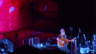 Yusuf in Melbourne 16/6/10 - all kinds of roses