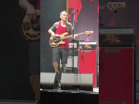 Thumbnail for Tim Commerford, Brad Wilk, Tom Morello @Athens, 27 Aug 2019 by Tim Commerford