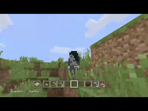 Minecraft Rp Witch of the west