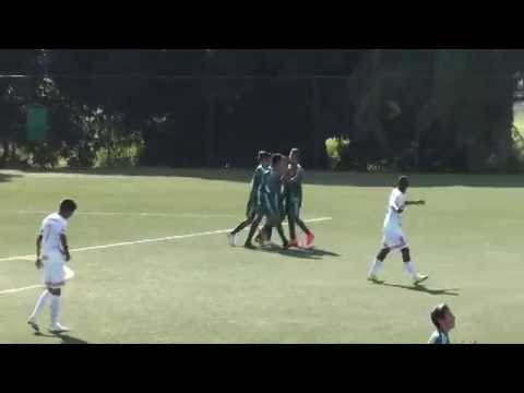S.E  Palmeirinha 2 x 2 Botafogo - PAULISTAO 2016  SUB-15