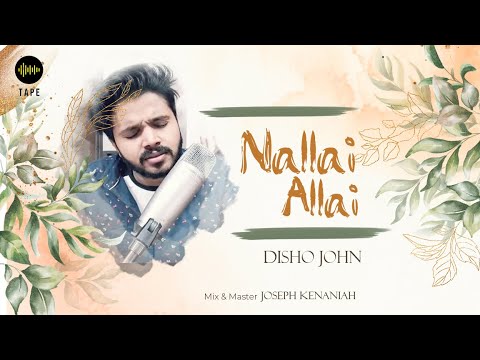 Disho John Nallai Allai
