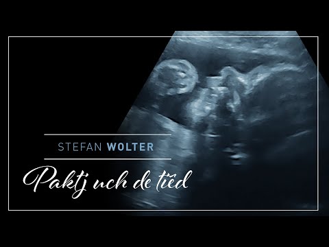 Stefan Wolter - Paktj uch de tiêd (ft. Ralf Henderickx)