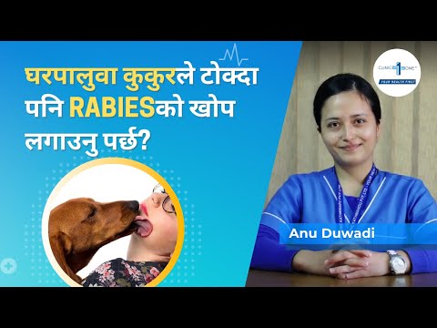 घरपालुवा कुकुरले टोक्दा rabies खोप लगाउनु पर्छ? | Is rabies vaccine necessary if bitten by pet dog?