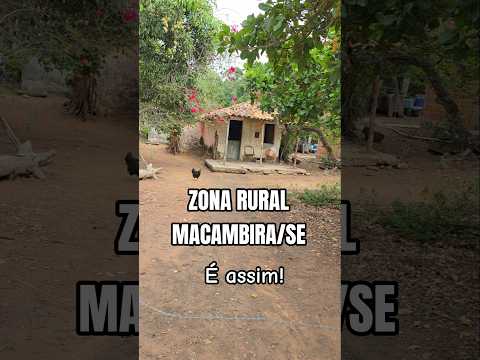 #shorts CASAS DE SÍTIOS EM MACAMBIRA SERGIPE É ASSIM, #video #videoshorts #viral