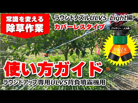 自家製ラウンドアップの作り方は？ 3 つの材料と 5 分で天然の強力な除草剤が完成  庭園