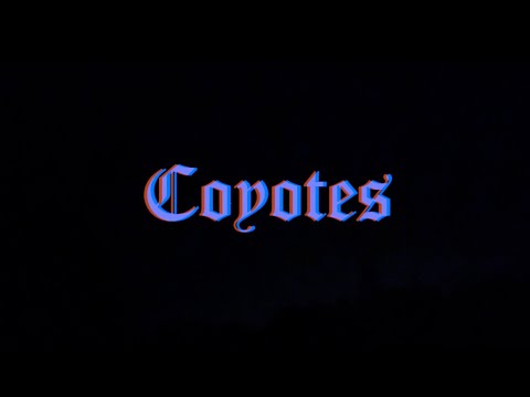 Coyotes every night from my backyard. #coyote #pack #howling