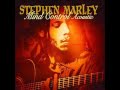 Stephen Marley feat. Damian Marley - The Traffic Jam (Acoustic)