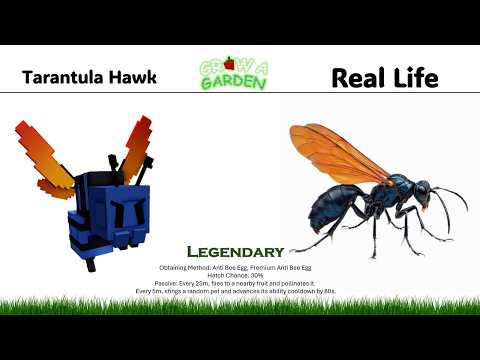 Roblox Grow a Garden ALL PETS IN REAL LIFE | Grow a Garden IRL 