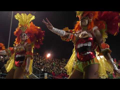 Trepa Coqueiro @Desfile Escolas de Samba - Carnaval de Estarreja 2020