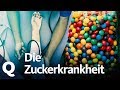 Diabetes Danger From Too Much Sugar Quarks