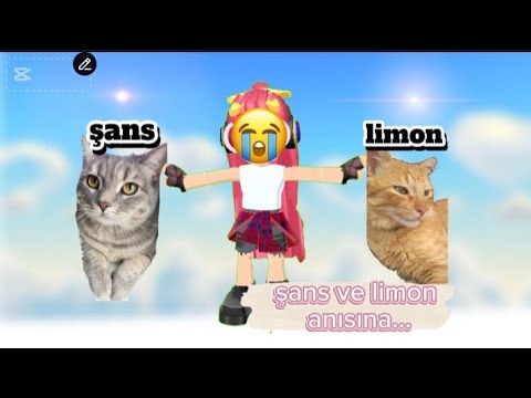 ONLARDA HAYVAN BİZİM GİBİ PİS DEGİLLER 🐈🐾 (şans limon çok ozeldim..)
