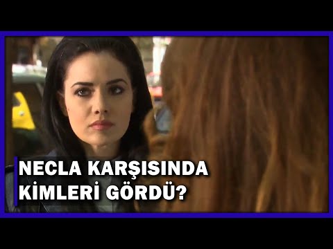 Leyla Ve Necla Karşılaştı! - Yaprak Dökümü 155.Bölüm