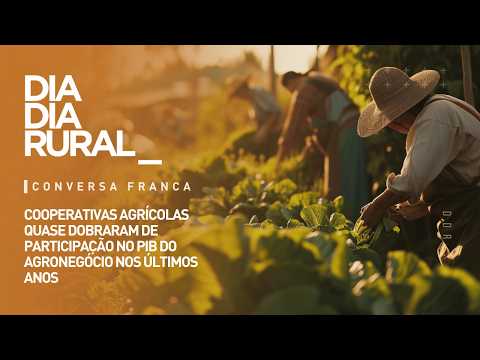 Cooperativas agrícolas quase dobraram de participação no PIB do agronegócio nos últimos anos