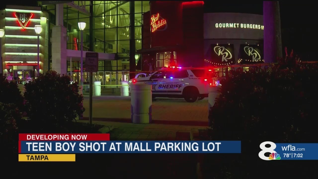Boy shot, killed outside Red Robin at Citrus Park Town Center