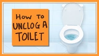 How to Unclog a Toilet