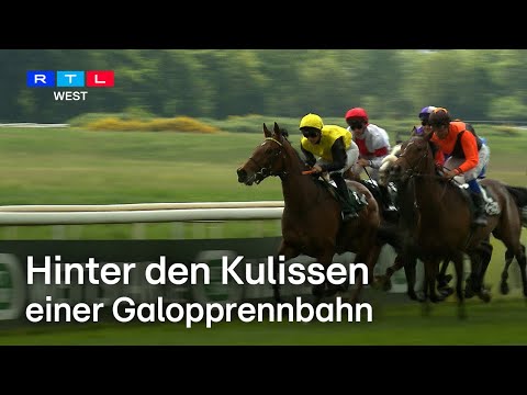 Renntag auf Galopprennbahn in Köln - SO bereitet sich Sibylle Vogt vor | RTL WEST
