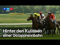 Renntag Auf Galopprennbahn In Köln SO Bereitet Sich Sibylle Vogt Vor RTL WEST