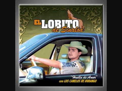 El Lobito De Sinaloa-Arriba De Ciento Veinte