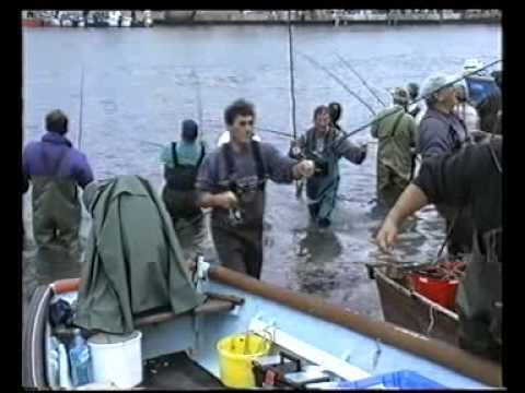 La pêche à la Daurade dans les canaux de Sète