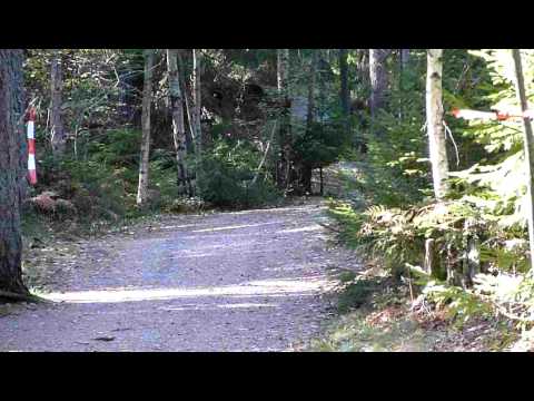 Lidingöloppet 2011: med c:a 600 m kvar, del 1