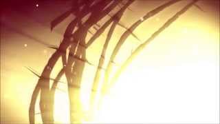 Stephen Petree -   setting my eyes (music video)