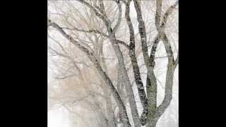 Winter Winds (Sandy Denny), instrumental cover, tenor guitar/ukulele/mandolin