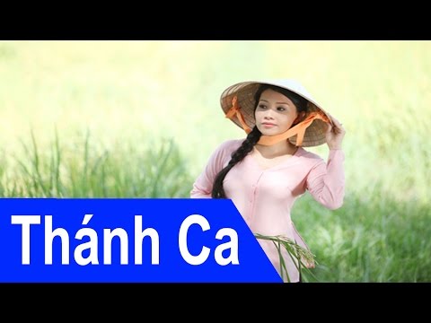 Nhạc Thánh Ca | Tình Con Yêu Chúa - Cẩm Ly [Lyrics Video]