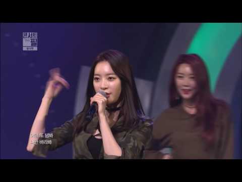 [콘서트 필] 달샤벳 - 미스터 뱅뱅 (Mr. BangBang) (16.11.29)