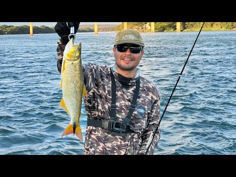 Rio são Francisco e represa de três marias no mesmo dia pescaria de Dourados e tucunarés azulões