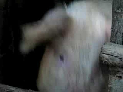 AnaMalivuk’s Video 28189371638 xxkZtqHZ3M0