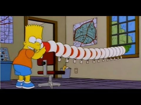 Los Simpson Auxilio Me Desmayo Callese Viejo Lesbiano