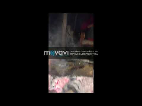 Новый проект 53