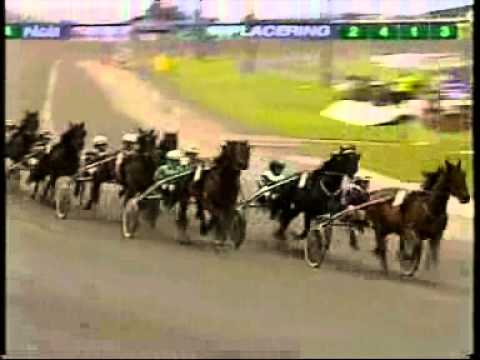 Aby Stora Pris 1st Heat 2008 -Garland Kronos