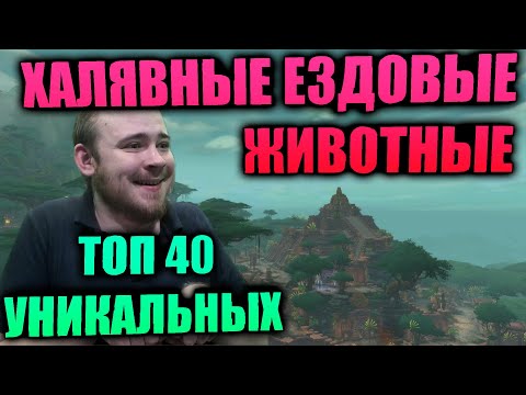 ТОП 40+ ХАЛЯВНЫХ КРАСИВЫХ И УНИКАЛЬНЫХ МАУНТОВ ИЗ РЕЙДОВ И ПОДЗЕМЕЛИЙ, СТАРОГО И НОВОГО КОНТЕНТА WOW