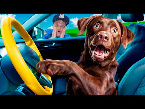 We are in the Car Wheels On The Bus Song Nursery Rhymes & Kids Songs | Rich and the Detective