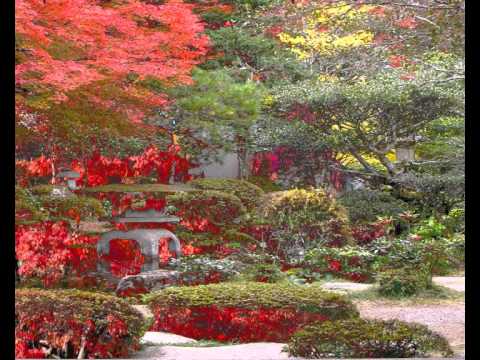 Faltan palabras (Cada dia una nueva composicion) Sir Flansi