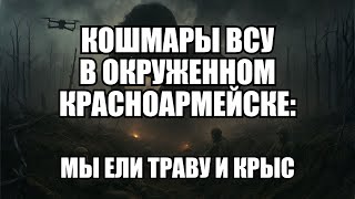 От надежд до реальности: три месяца боевых действий глазами рядовых солдат | Крамаровский