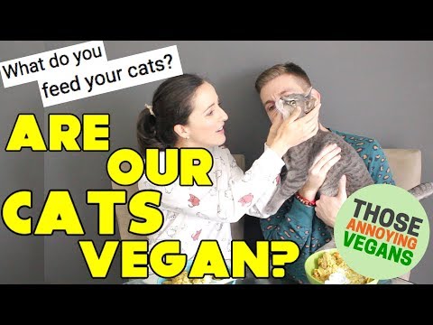 What Do We Feed our Cats as Vegans? | Mukbang