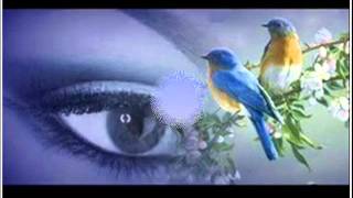 Download lagu Adinda Bimbo mp3