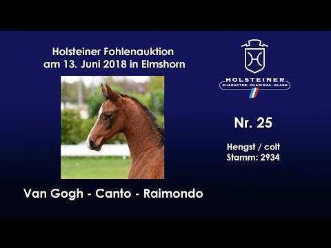 Holsteiner Fohlenauktion im Juni | Nr. 25 v. Van Gogh - Canto