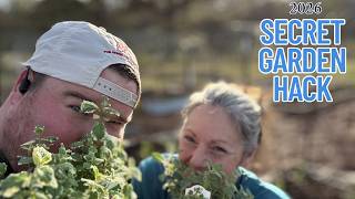 New Garden Super Weapon! March 2026 Garden Walk Thru