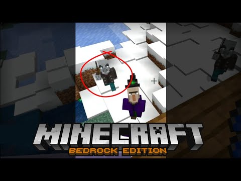 Vindicator teamkillers!  - #Minecraft #shorts