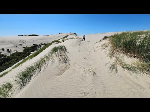 Wanderung : Die Wanderdüne Råbjerg Mile