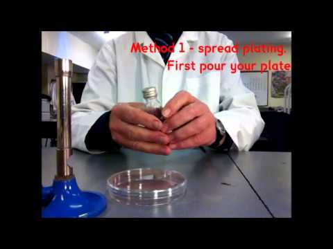 Comparing Antibiotic effectiveness